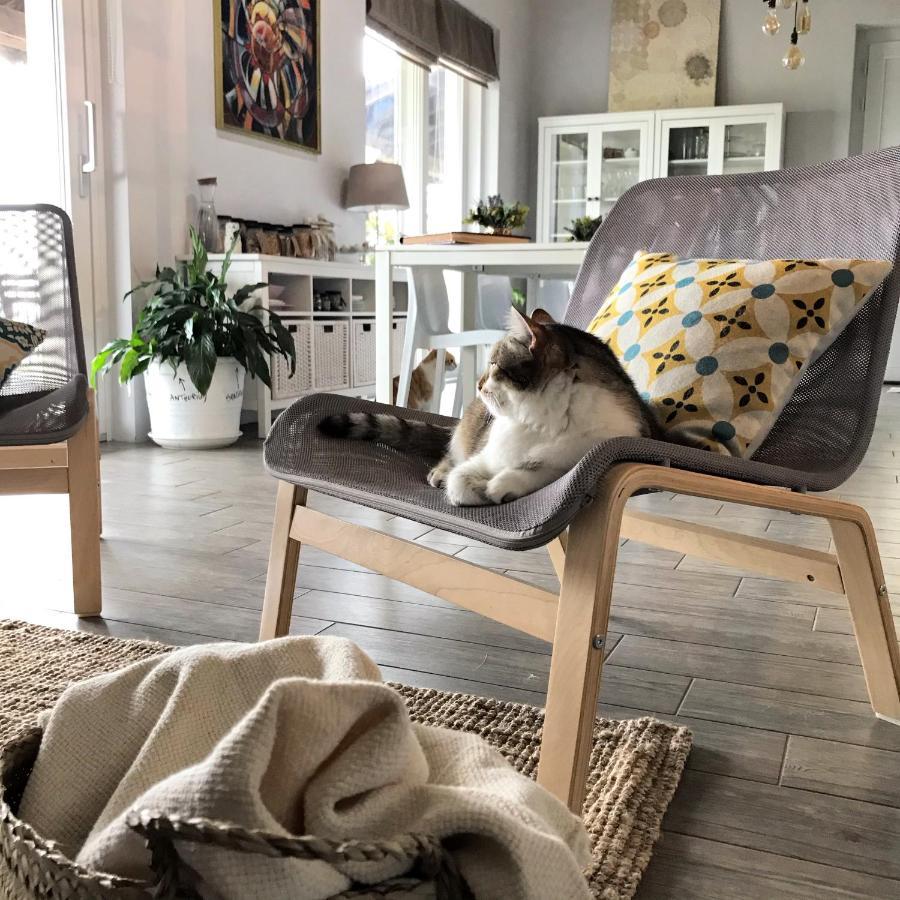 Il Sassoscritto Bed And Breakfast Montecalvo Versiggia Dış mekan fotoğraf